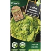 Protecta Graines De Légumes Et Aromatiques | - Graines paysannes - laitue grosse blonde paresseuse