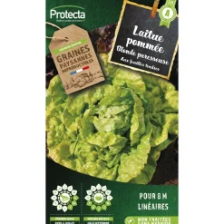 Protecta Graines De Légumes Et Aromatiques | - Graines paysannes - laitue grosse blonde paresseuse