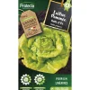 Protecta Graines De Légumes Et Aromatiques | - Graines paysannes - laitue gotte jaune d'or
