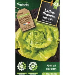 Protecta Graines De Légumes Et Aromatiques | - Graines paysannes - laitue gotte jaune d'or