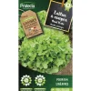 Protecta Graines De Légumes Et Aromatiques | - Graines paysannes - laitue à couper salad bowl verte