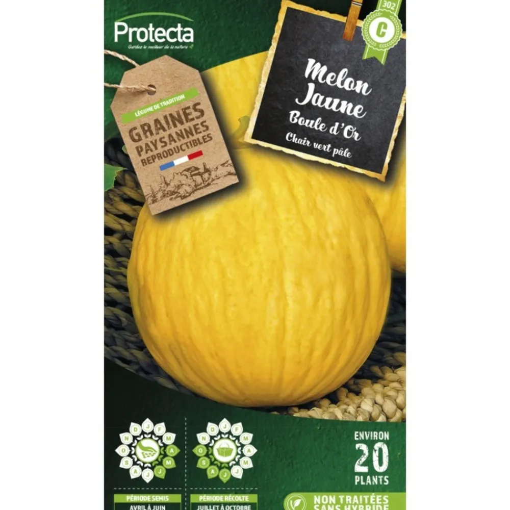 Protecta Graines De Légumes Et Aromatiques | - Graines paysannes - melon jaune boule d'or