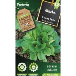 Protecta - Graines paysannes - mâche verte à coeur plein 2 New