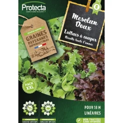 Protecta Graines De Légumes Et Aromatiques | - Graines paysannes - mesclun laitue à couper en mélange xxl