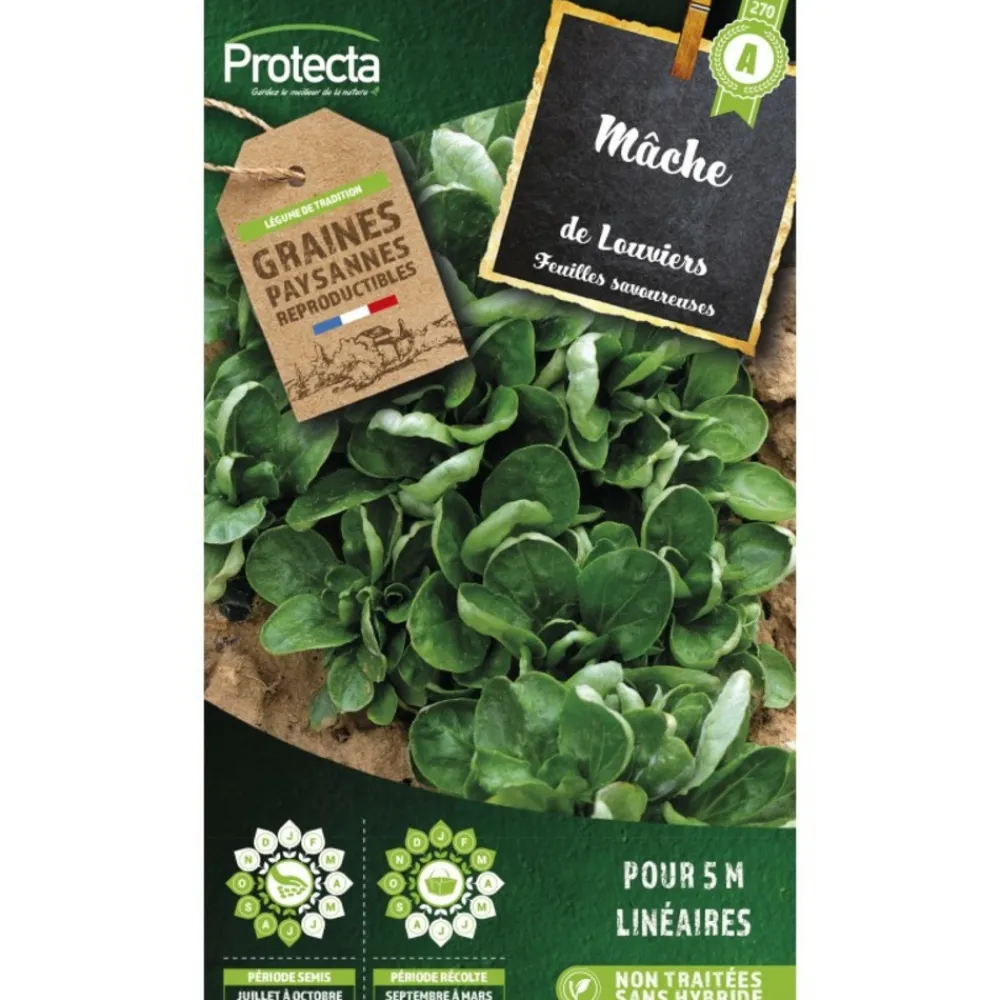 Protecta Graines De Légumes Et Aromatiques | - Graines paysannes - mâche coquille de louviers