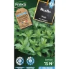 Protecta Graines De Légumes Et Aromatiques | - Graines paysannes - menthe verte