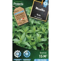 Protecta Graines De Légumes Et Aromatiques | - Graines paysannes - menthe verte