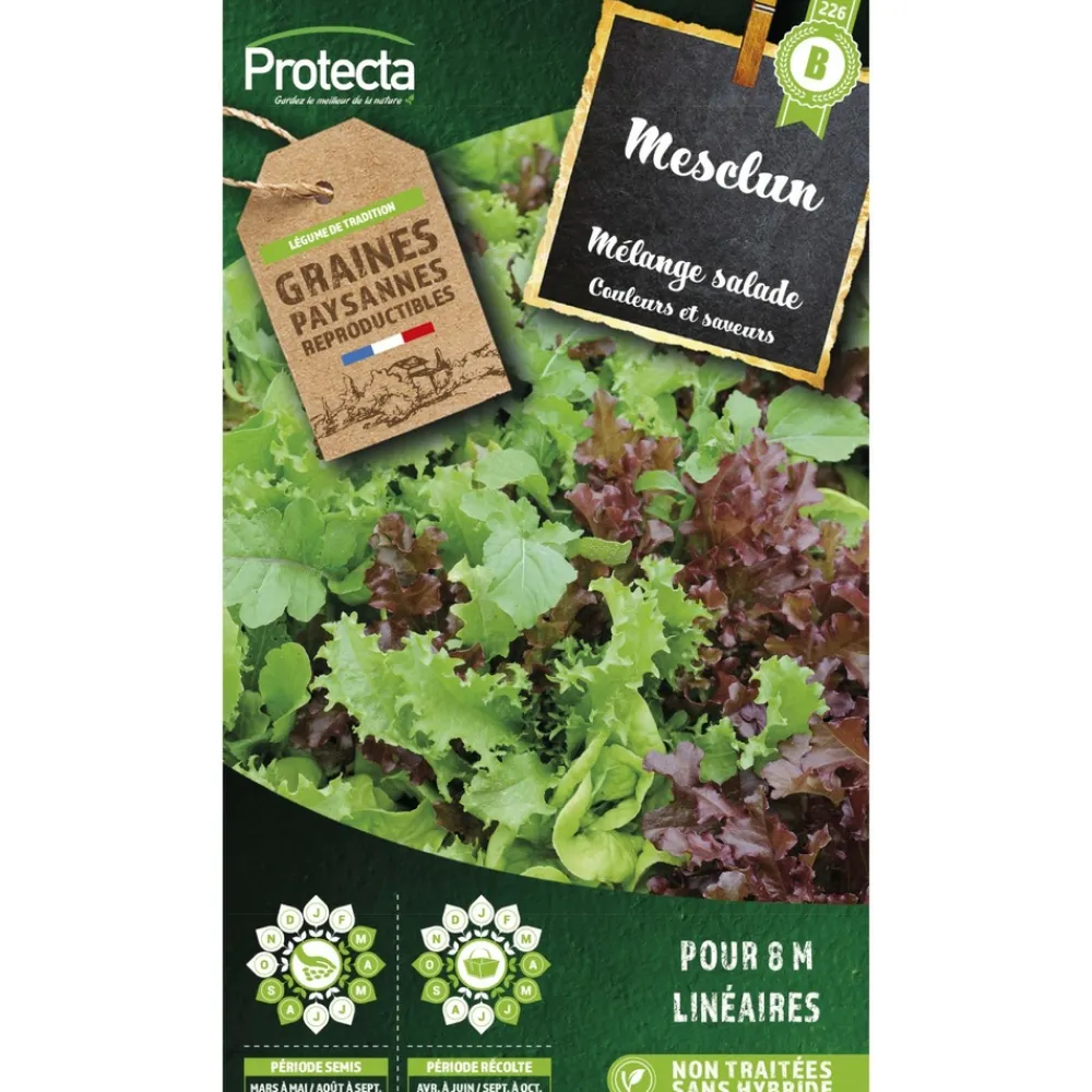 Protecta Graines De Légumes Et Aromatiques | - Graines paysannes - mesclun salade en mélange