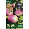 Protecta - Graines paysannes - navet de nancy à feuille entière Hot