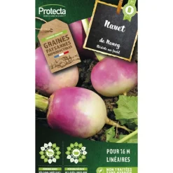 Protecta - Graines paysannes - navet de nancy à feuille entière Hot