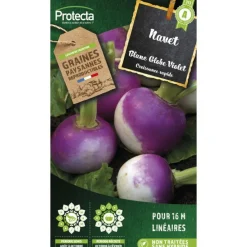 Protecta - Graines paysannes - navet rouge plat hâtif à feuille entière Sale