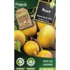 Protecta Graines De Légumes Et Aromatiques | - Graines paysannes - navet jaune boule d'or