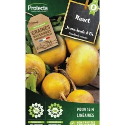 Protecta Graines De Légumes Et Aromatiques | - Graines paysannes - navet jaune boule d'or