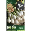 Protecta - Graines paysannes - oignon blanc premier Outlet