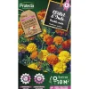 Protecta Graines De Légumes Et Aromatiques | - Graines paysannes - oeillet d'inde double nain varié