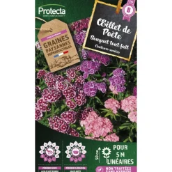 Protecta - Graines paysannes - oeillet de poéte en mélange Best