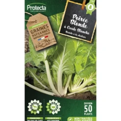 Protecta - Graines paysannes - poirée blonde à carde blanche 2 Online