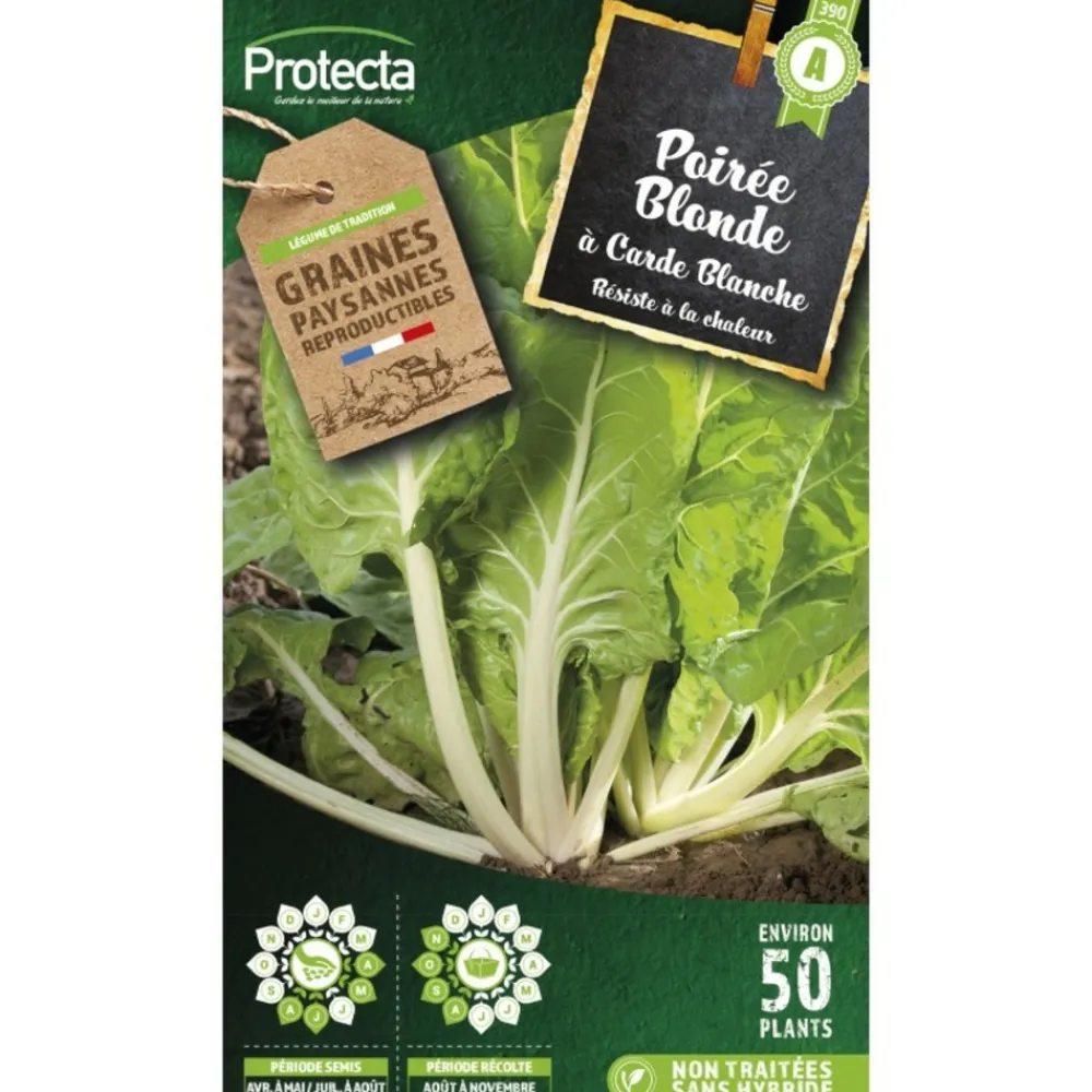 Protecta - Graines paysannes - poirée blonde à carde blanche 2 Online