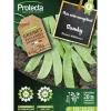Protecta - Graines paysannes - pois mangetout bamby nain Online