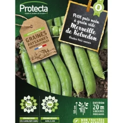 Protecta - Graines paysannes - pois nain à grain ridé merveille de kelvedon Outlet