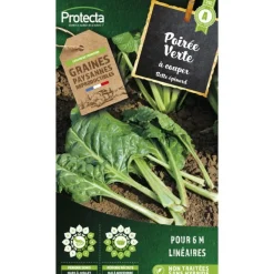 Protecta Graines De Légumes Et Aromatiques | - Graines paysannes - poirée verte à couper