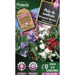 Protecta - Graines paysannes - pois de senteur grimpant spencer Clearance