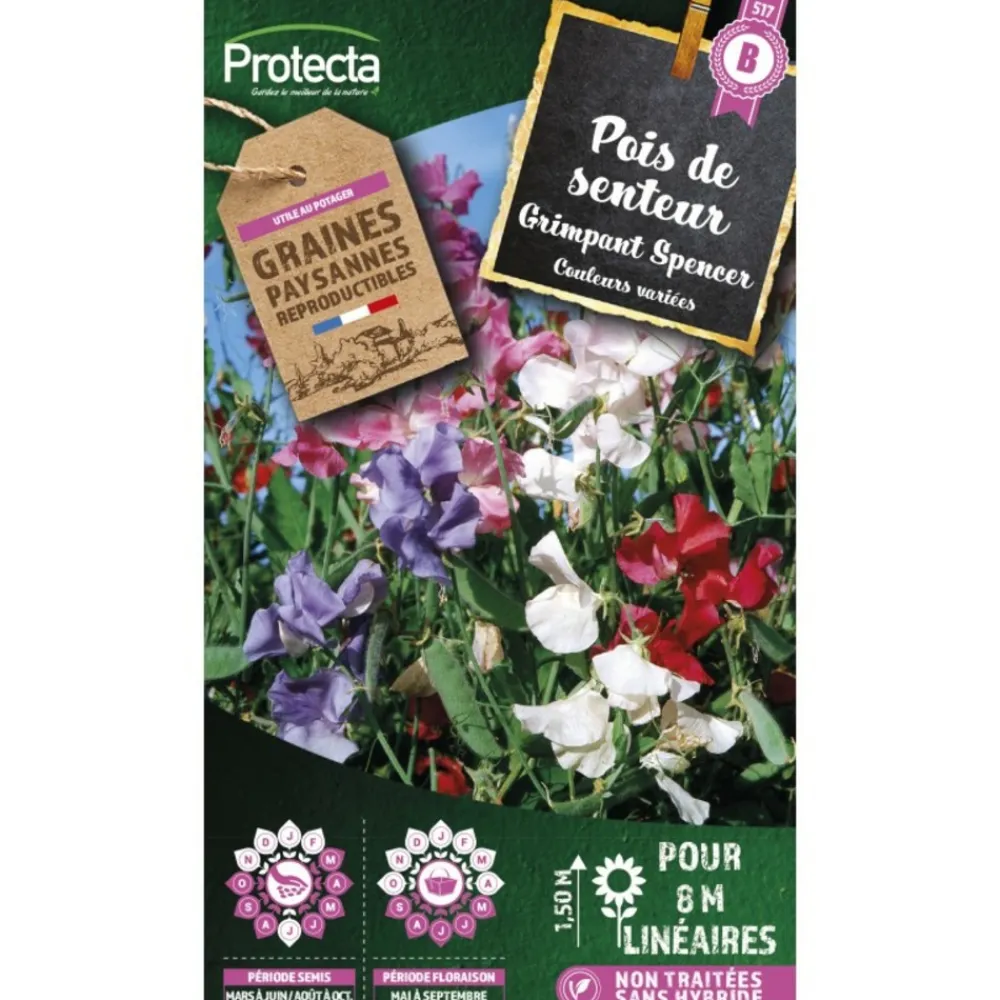Protecta - Graines paysannes - pois de senteur grimpant spencer Clearance