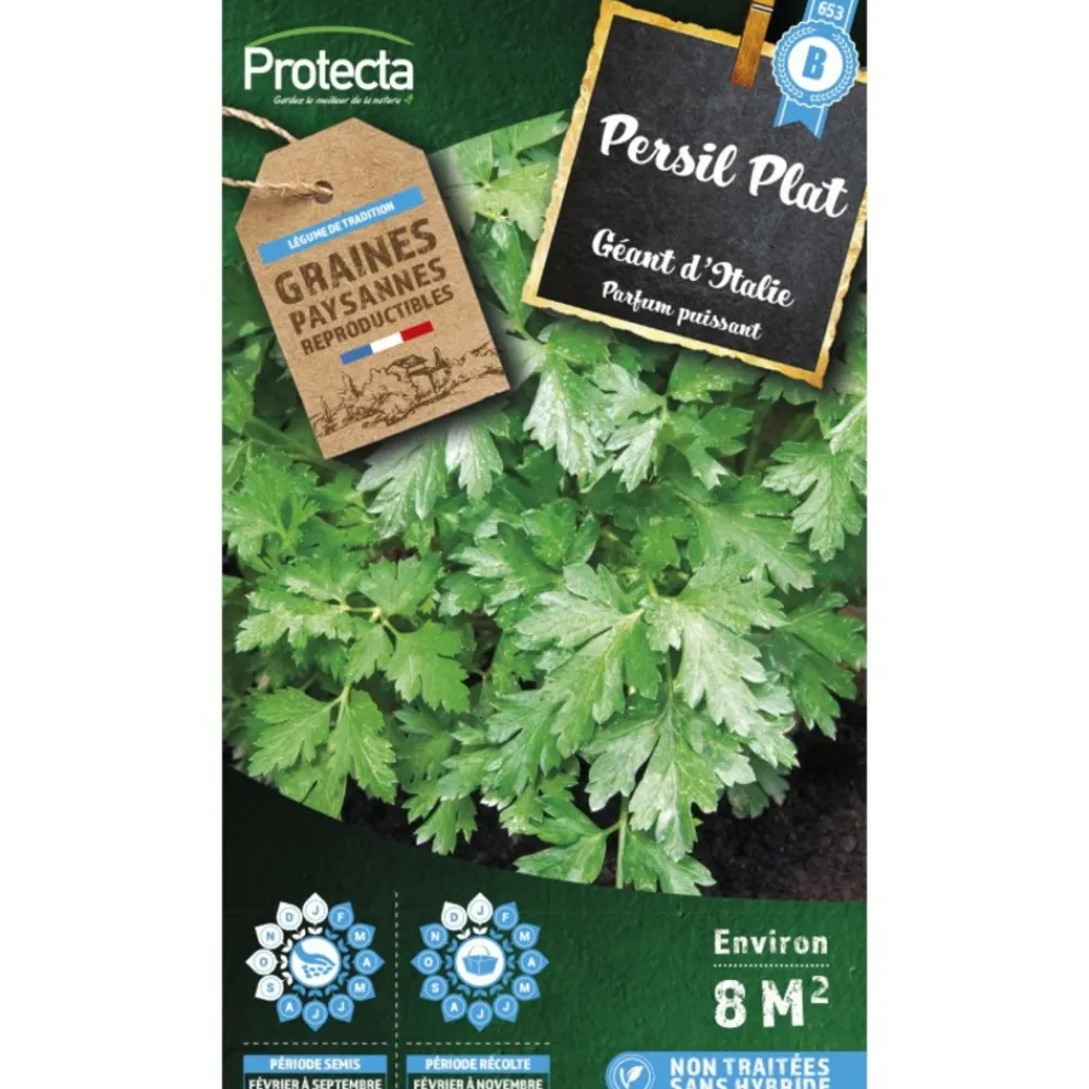 Protecta Graines De Légumes Et Aromatiques | - Graines paysannes - poirée verte à carde blanche 3
