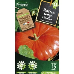 Protecta - Graines paysannes - potiron rouge vif d'etampes Hot