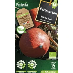 Protecta - Graines paysannes - potimarron ushiki kuri bio Online