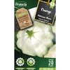 Protecta - Graines paysannes - pâtisson blanc Discount