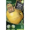 Protecta Graines De Légumes Et Aromatiques | - Graines paysannes - potiron jaune gros de paris