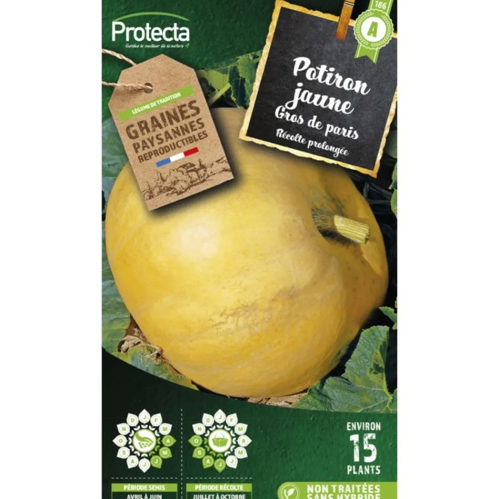 Protecta Graines De Légumes Et Aromatiques | - Graines paysannes - potiron jaune gros de paris