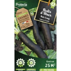 Protecta Graines De Légumes Et Aromatiques | - Graines paysannes - radis d'hiver noir long d'hiver