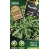 Protecta Graines De Légumes Et Aromatiques | - Graines paysannes - roquette sauvage