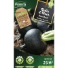Protecta Graines De Légumes Et Aromatiques | - Graines paysannes - radis noir gros rond d'hiver