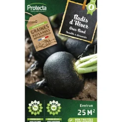 Protecta Graines De Légumes Et Aromatiques | - Graines paysannes - radis noir gros rond d'hiver