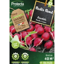 Protecta Graines De Légumes Et Aromatiques | - Graines paysannes - radis rond écarlate xxl