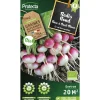 Protecta Graines De Légumes Et Aromatiques | - Graines paysannes - radis rond rose à bout blanc bio