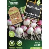 Protecta Graines De Légumes Et Aromatiques | - Graines paysannes - radis rose à bout blanc xxl