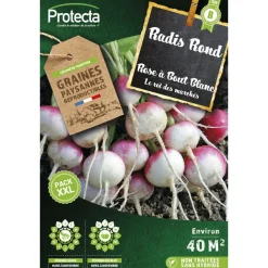 Protecta Graines De Légumes Et Aromatiques | - Graines paysannes - radis rose à bout blanc xxl
