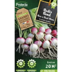 Protecta Graines De Légumes Et Aromatiques | - Graines paysannes - radis rond rose à bout blanc