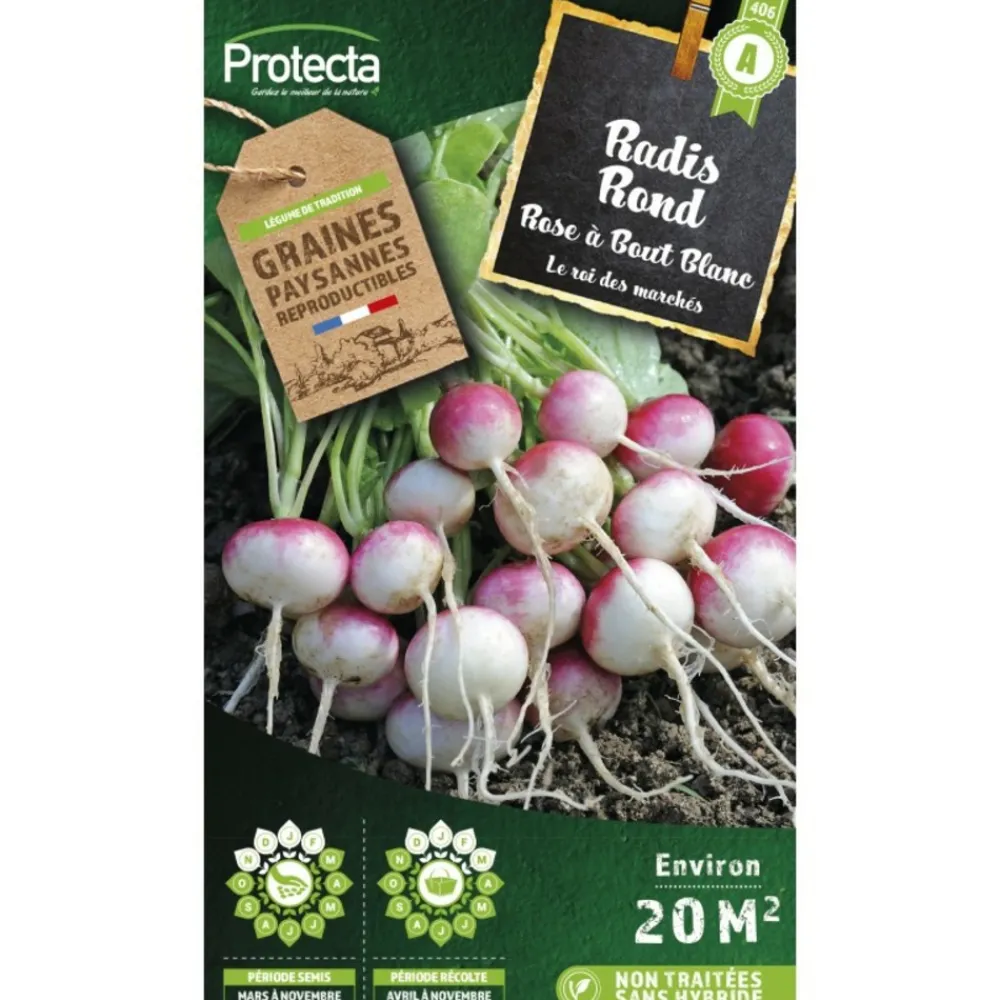 Protecta Graines De Légumes Et Aromatiques | - Graines paysannes - radis rond rose à bout blanc