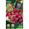 Protecta Graines De Légumes Et Aromatiques | - Graines paysannes - radis rond écarlate