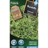 Protecta Graines De Légumes Et Aromatiques | - Graines paysannes - sariette commune