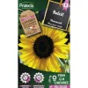Protecta Graines De Légumes Et Aromatiques | - Graines paysannes - soleil tournesol simple jaune