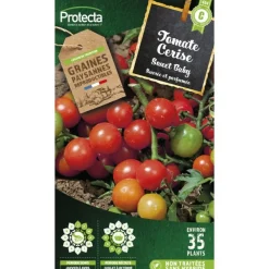 Protecta - Graines paysannes - tomate cerise sweet baby Online