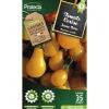 Protecta Graines De Légumes Et Aromatiques | - Graines paysannes - tomate cerise yellow pearshapped