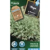 Protecta - Graines paysannes - thym de provence Best