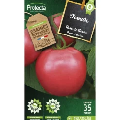 Protecta Graines De Légumes Et Aromatiques | - Graines paysannes - tomate rose de berne